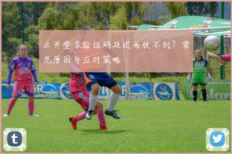 云开登录验证码延迟或收不到？常见原因与应对策略